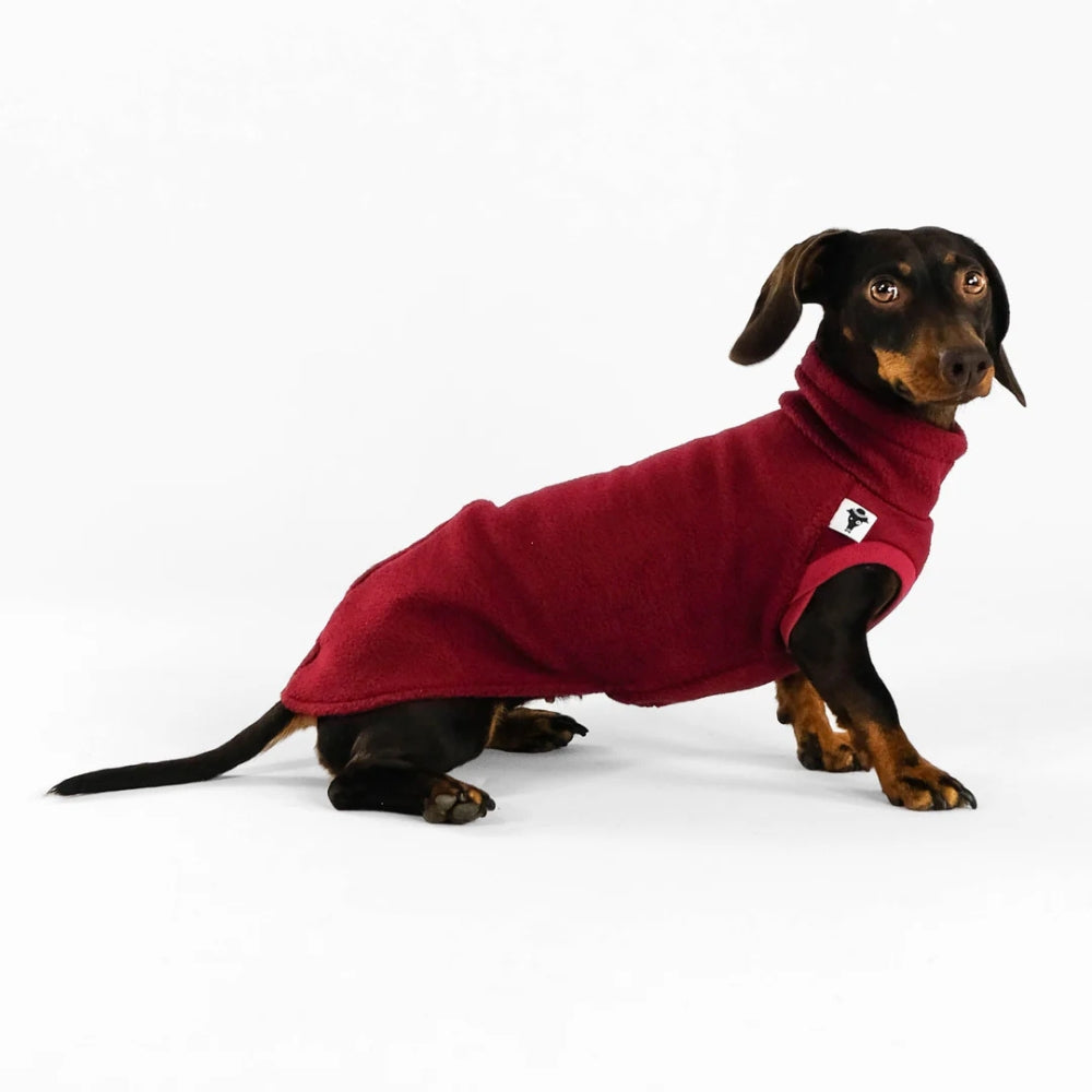 LONG SHIRT 2.0 für Dackel in Bordeaux
