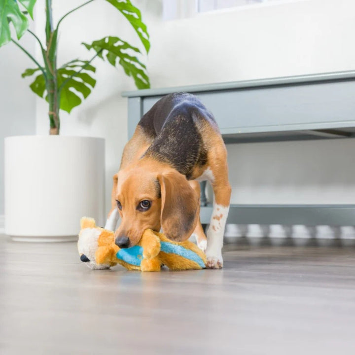 Hundespielzeug Eichhörnchen Eric