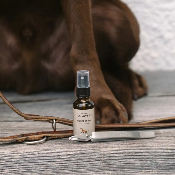ZILVEREN SPRAY + ALOË VERA