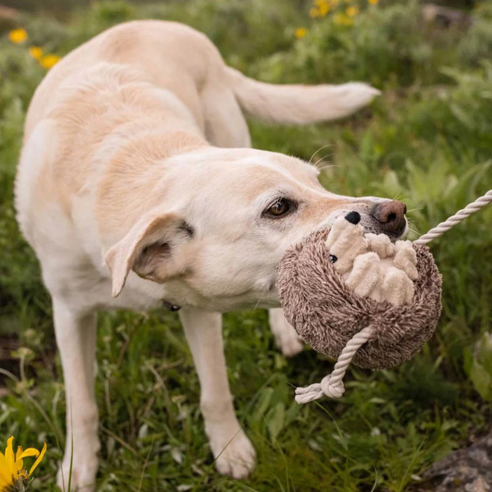 Hundespielzeug Igel Irma