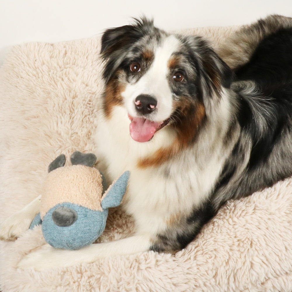 Hundespielzeug Isla Pinguin