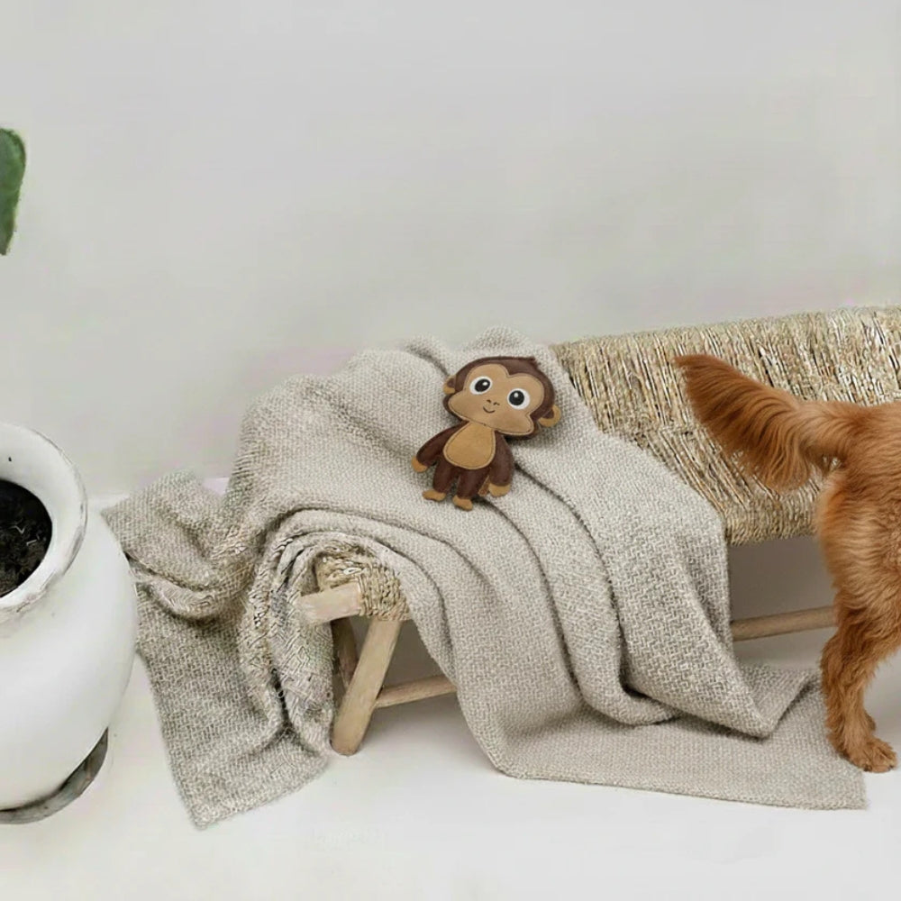 Hundespielzeug Affe Amadeo