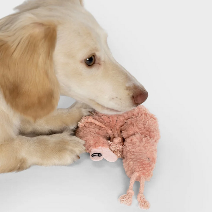 Hundespielzeug Shrimp Susi