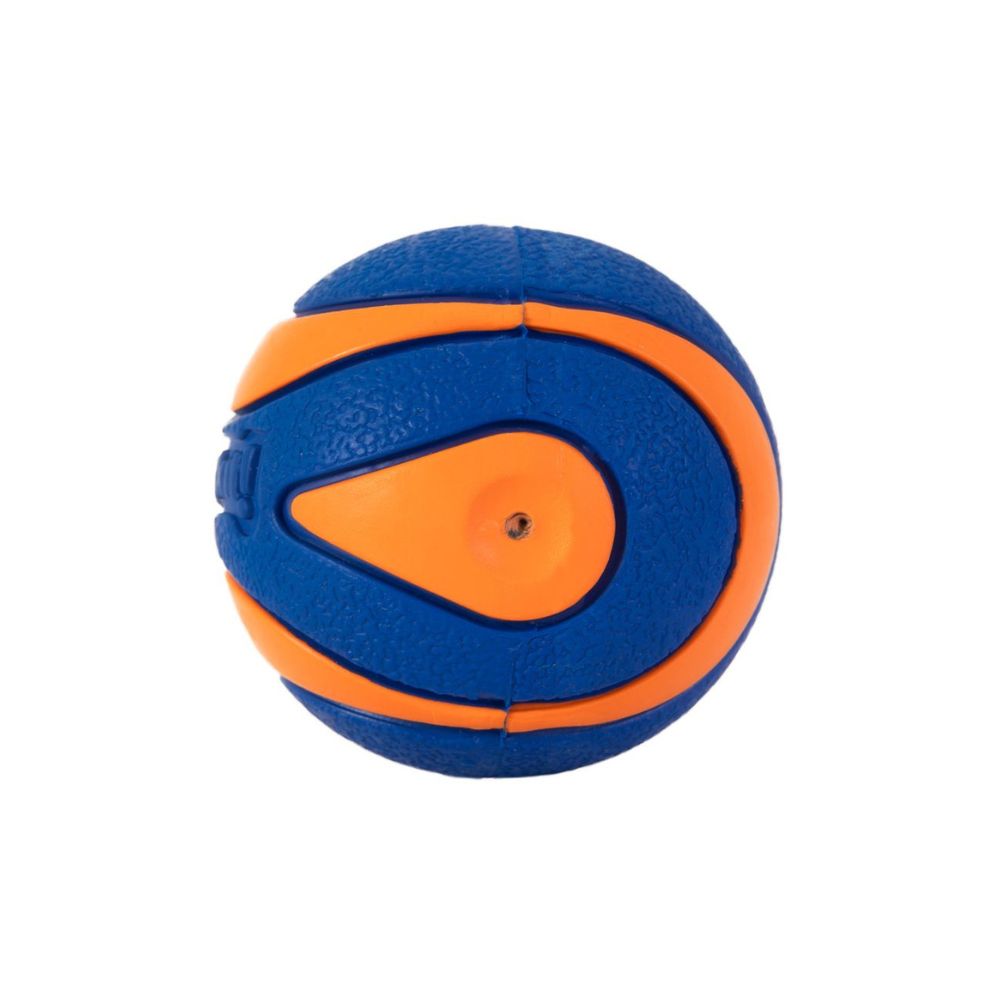 Chuck it Ball - Various Sizes With Squeeker 