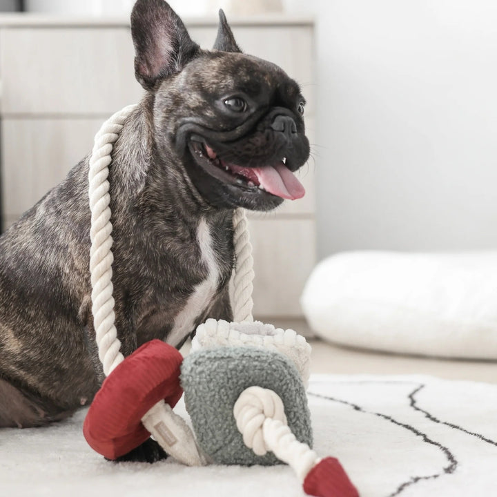 Hundespielzeug Schnüffel-Block-Kette *Limited Edition*