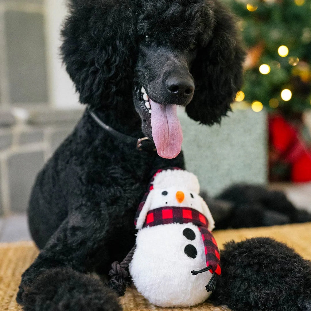 Hondenspeelgoed Sneeuwman Sam