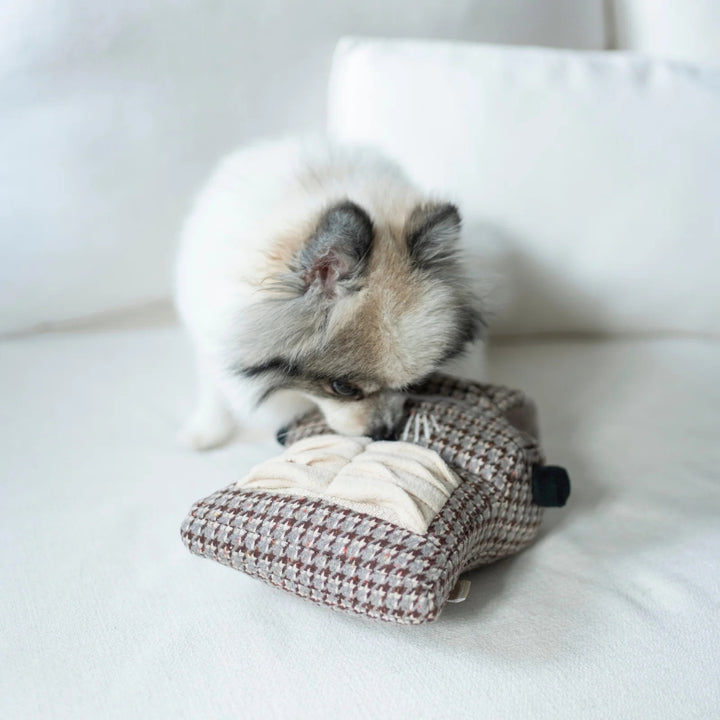 Hundespielzeug Schreibmaschine