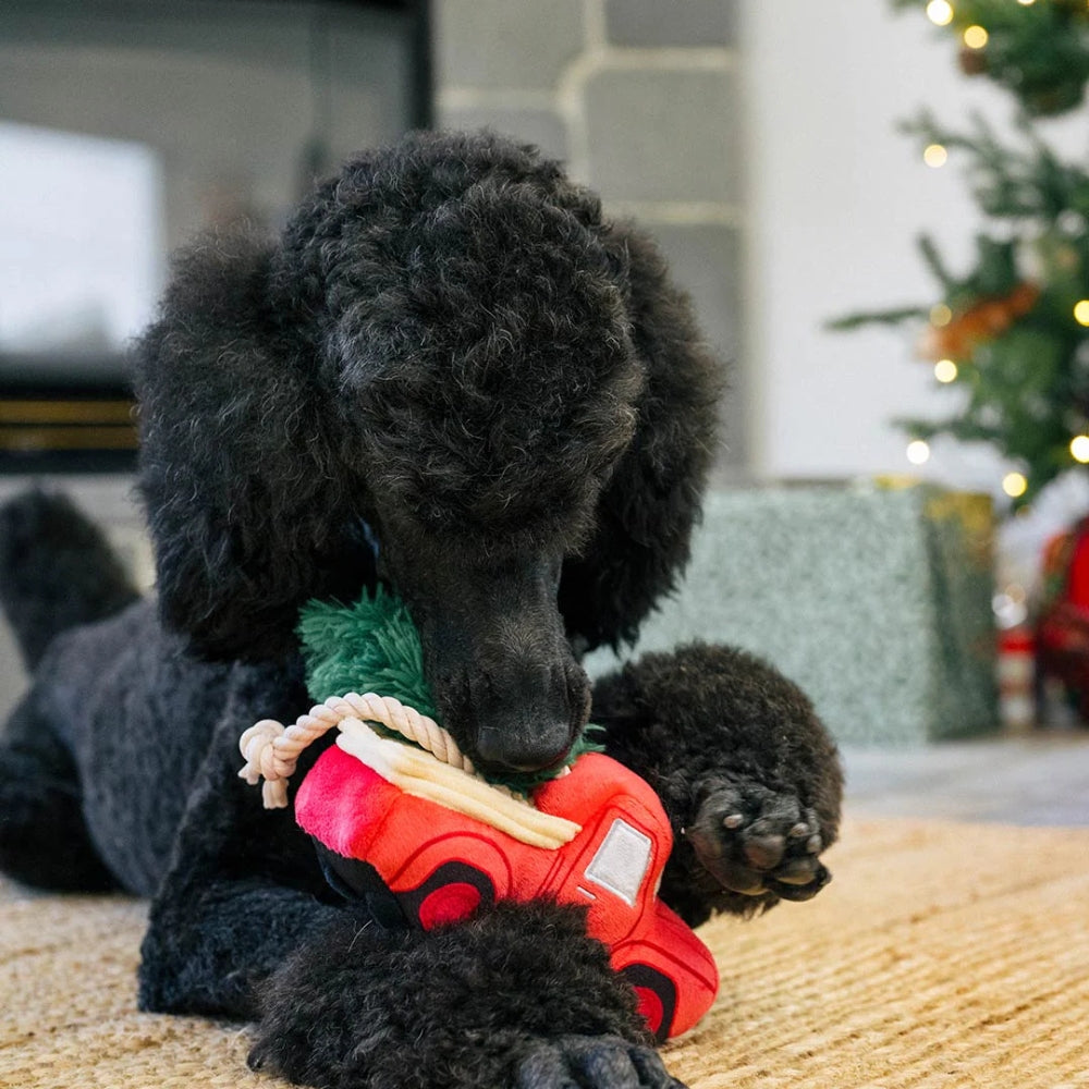 Honden speelgoed kerst vrachtwagen met dennenboom