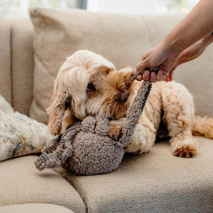 Hundespielzeug Ocky Oktopus