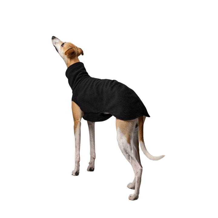 LONG SHIRT 2.0 für Whippet, Windsprite, Podenco, Galgo in Schwarz