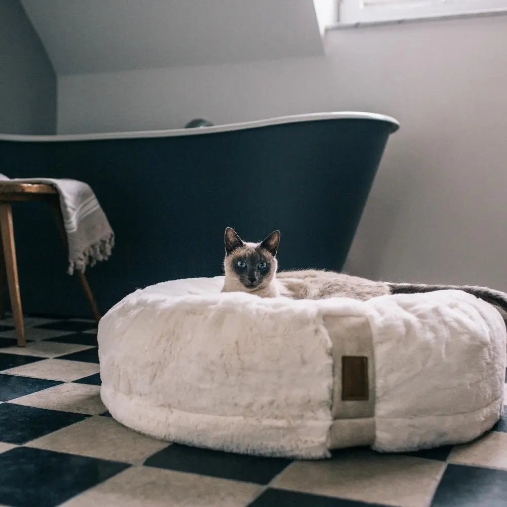 HYGGEBED 4 Cats taupe S Jetzt erhältlich bei  Dogsmopolitan