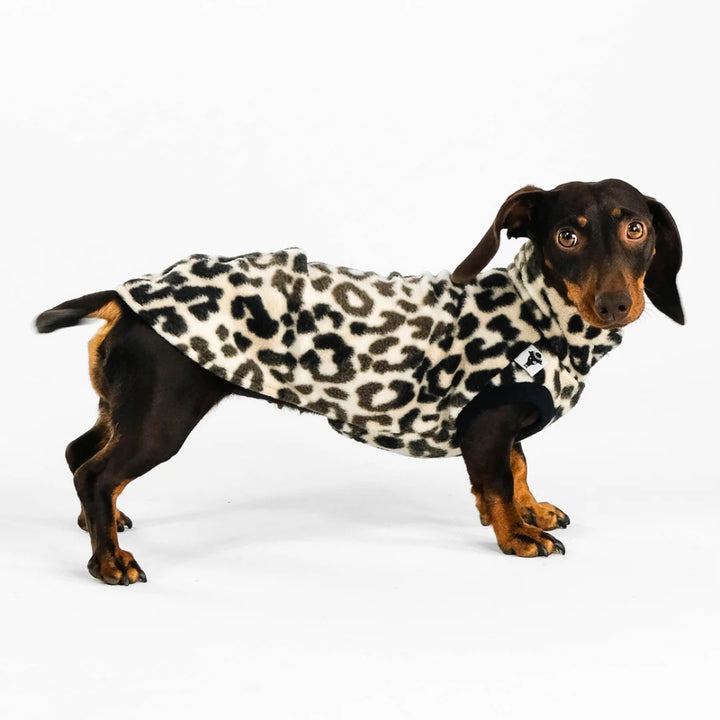 LONG SHIRT 2.0 für Dackel in Leo