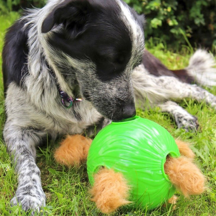 HUNDESCHNÜFFEL-LECKERLI-BALL