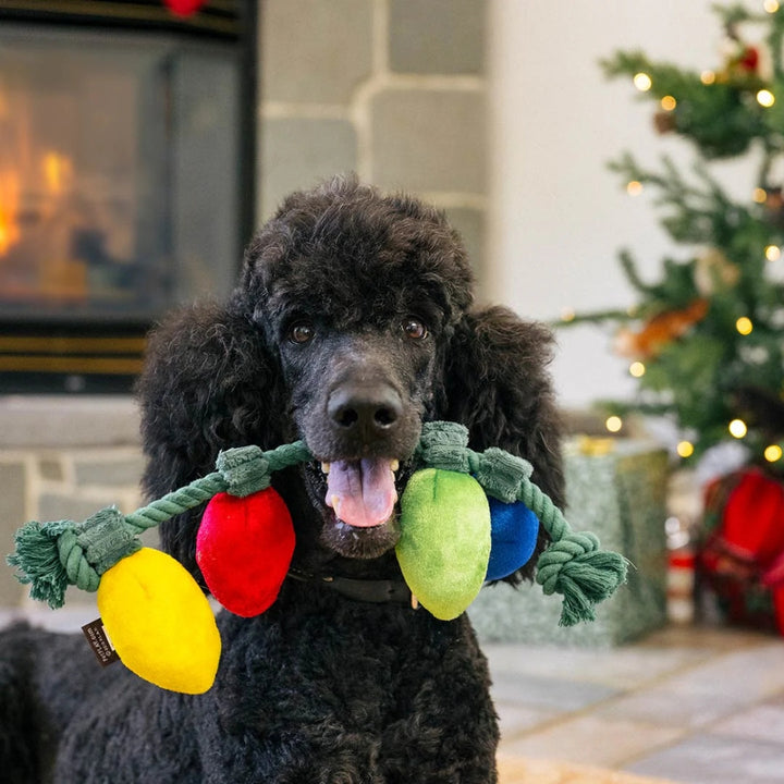 Hundespielzeug Weihnachtslichterkette