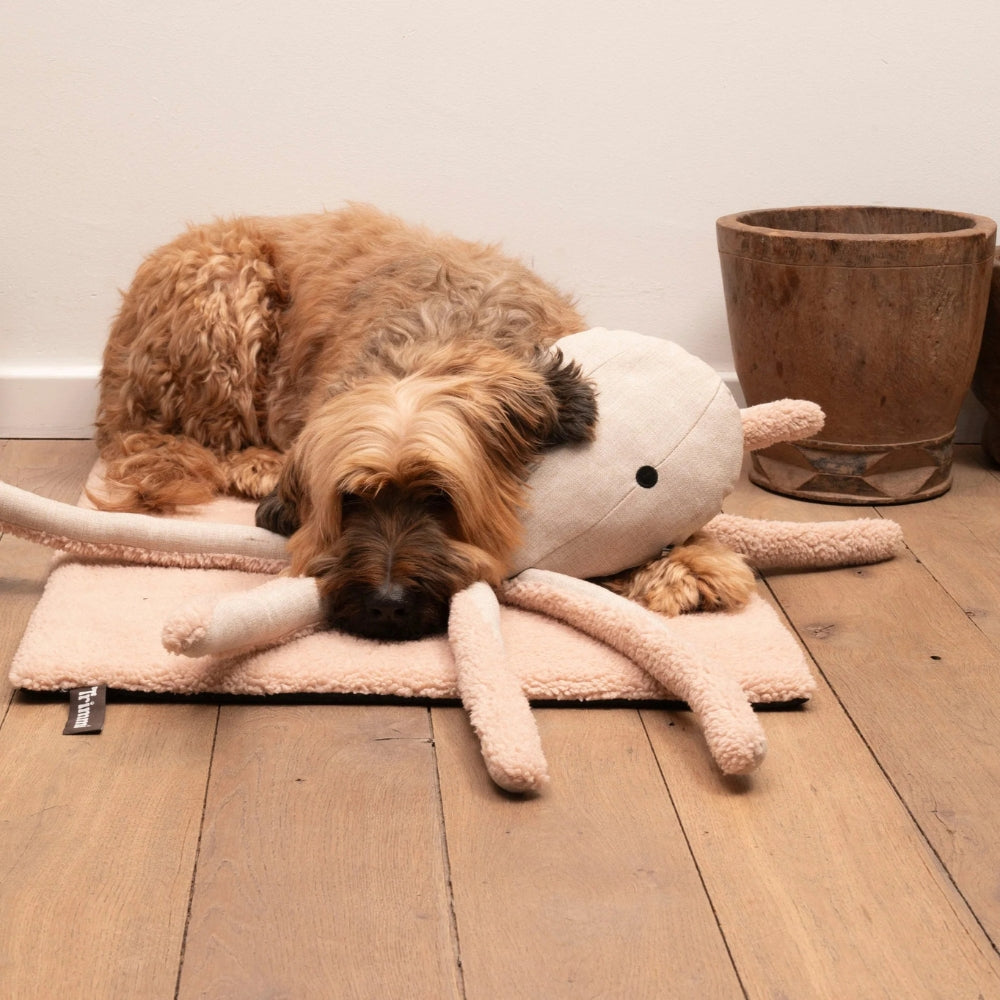 Hundespielzeug Oktopus Otto