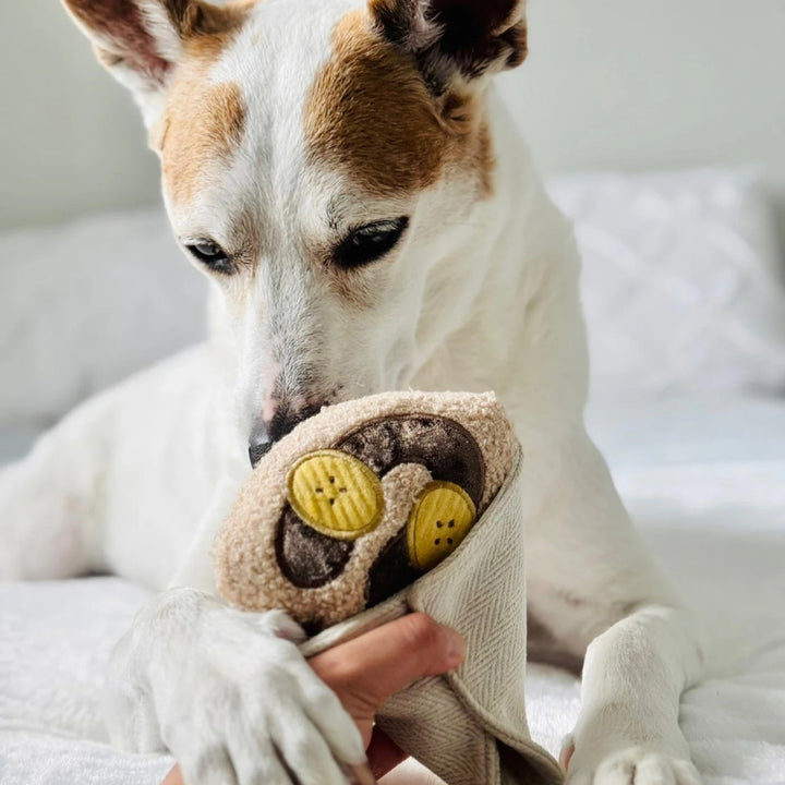 Hundespielzeug Schnüffel-Crêpe