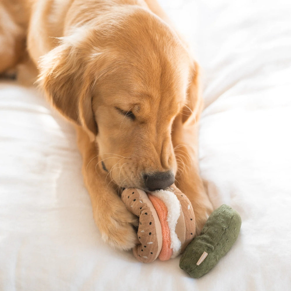 Hundespielzeug Schnüffelduo Bagel mit Gurke