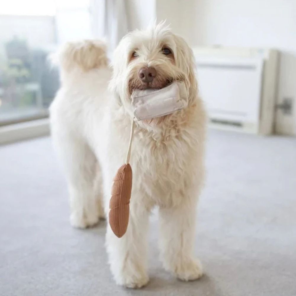 Oh là là – c’est un Baguette!
