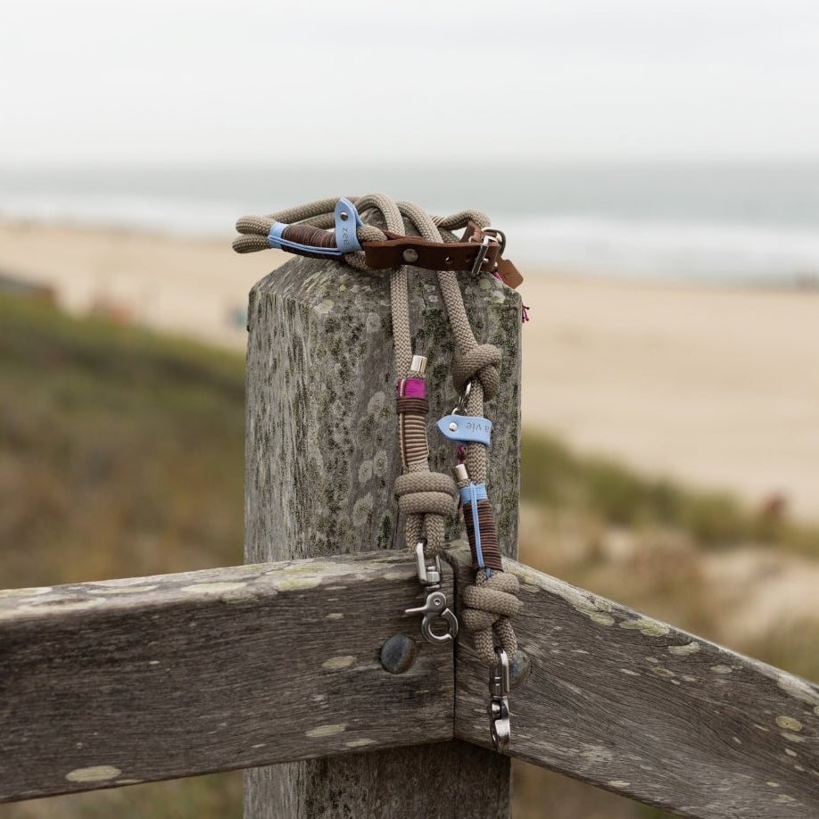 Tauleine Driftwood