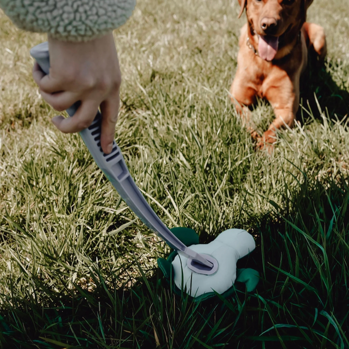 Wurf-Hundespielzeug FLINGERZ™ Splash - SCHILDKRÖTE Jetzt erhältlich bei  Dogsmopolitan