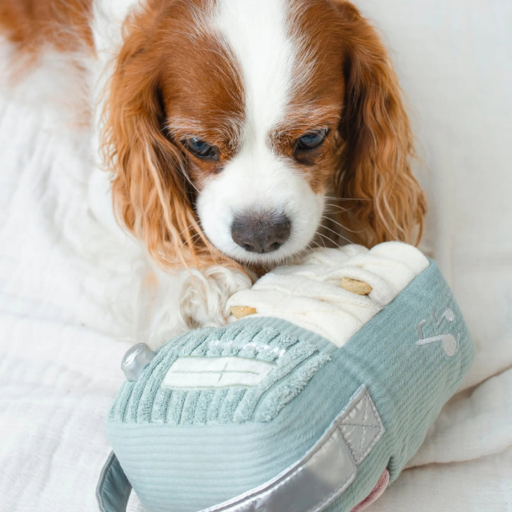 Hundespielzeug FM-Radio