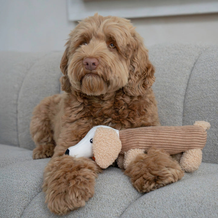 Hundespielzeug Dackel Micky
