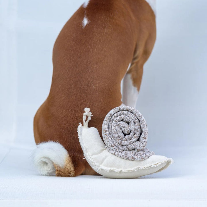 Hundespielzeug Schnüffel-Schnecke