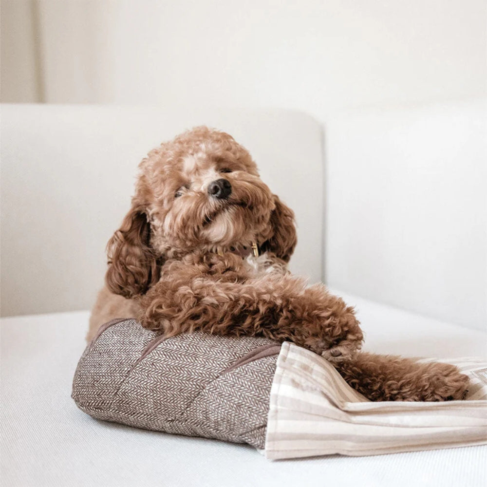 Hundespielzeug Schnüffel-Baguette