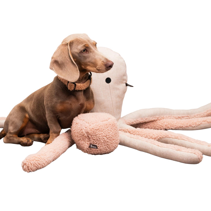 Hundespielzeug Oktopus Otto