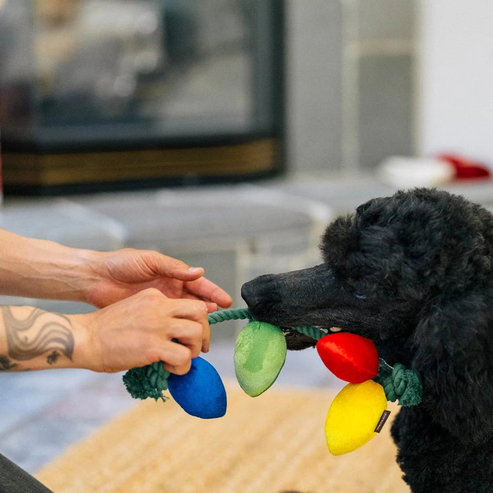 Hundespielzeug Weihnachtslichterkette