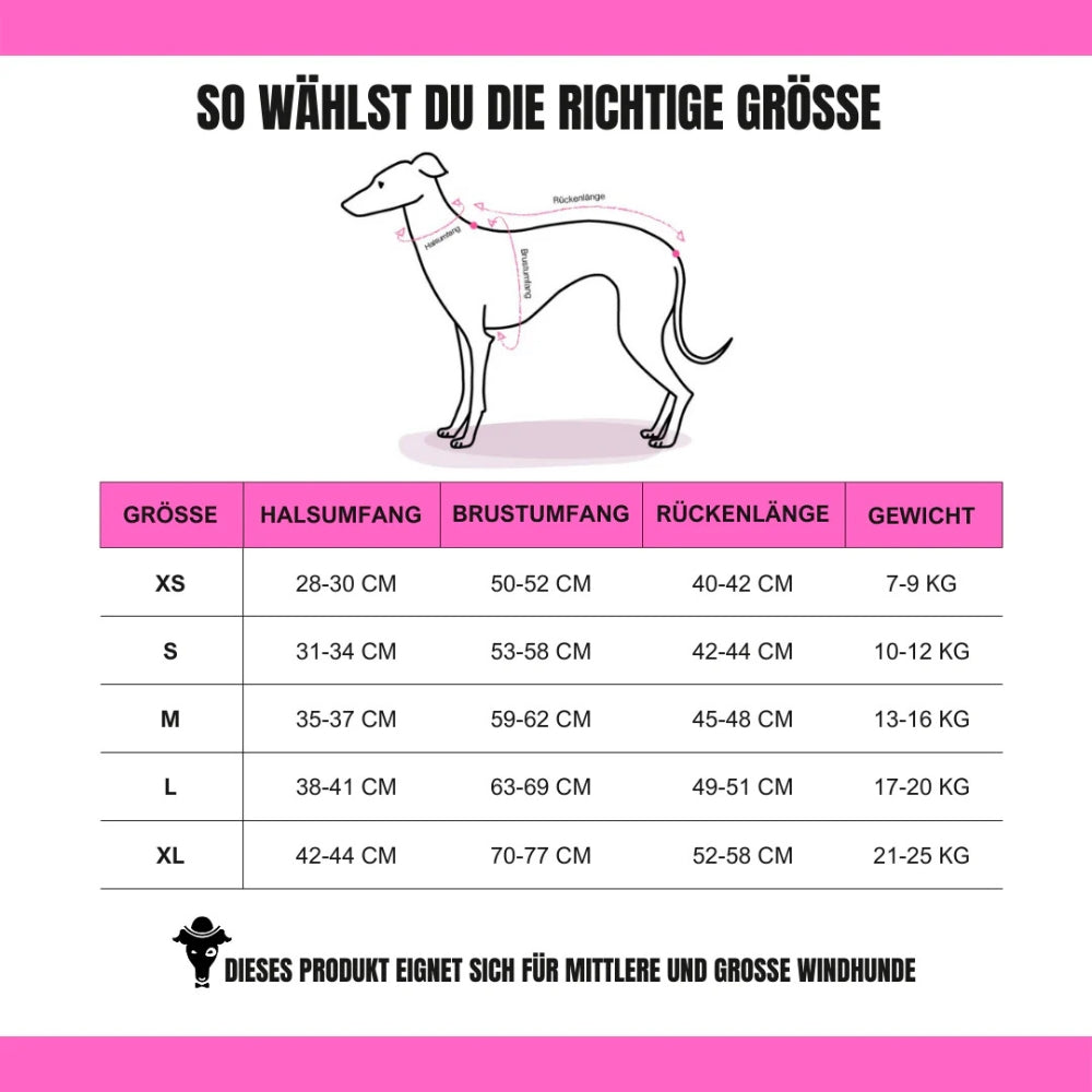 LONG SHIRT 2.0 für Whippet, Windsprite, Podenco, Galgo in Schwarz