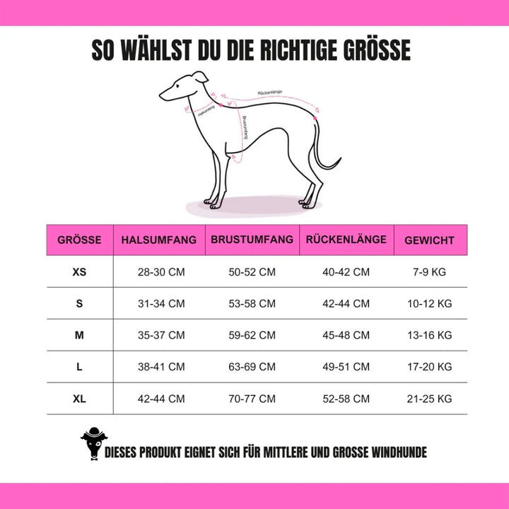 LONG SHIRT 2.0 für Whippet, Windsprite, Podenco, Galgo in Schwarz