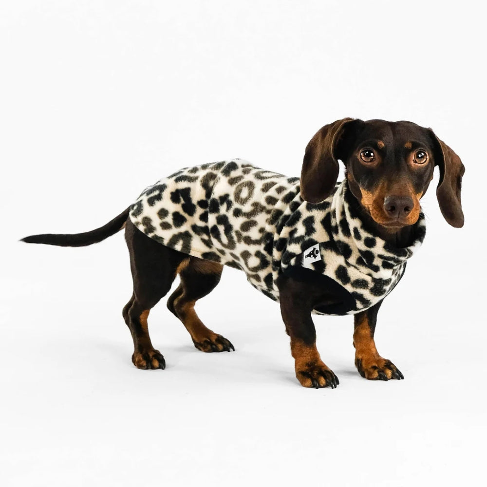 LONG SHIRT 2.0 für Dackel in Leo