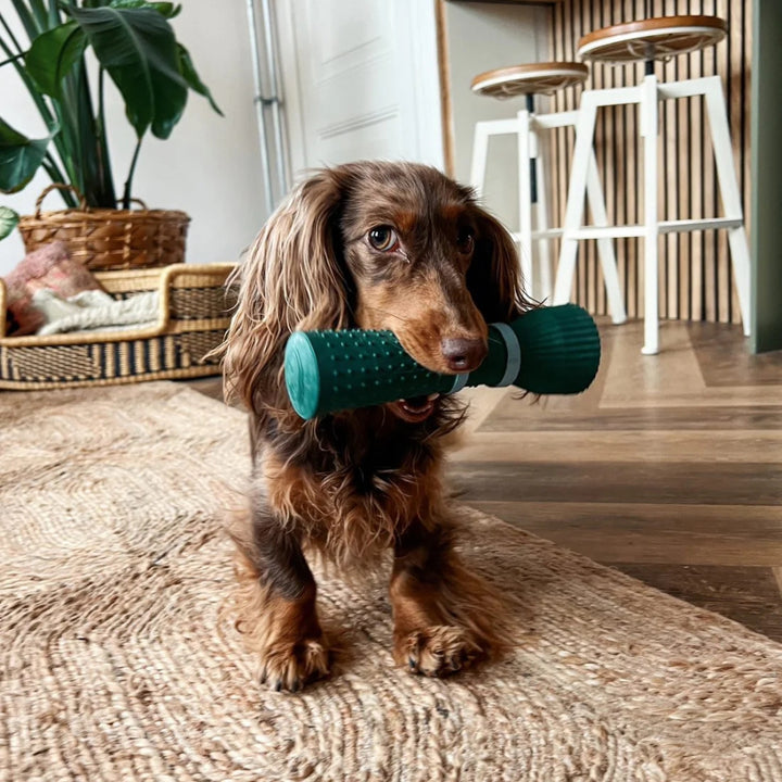 Hundespielzeug Apportierstab