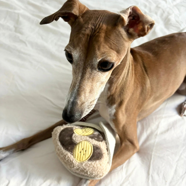 Hundespielzeug Schnüffel-Crêpe