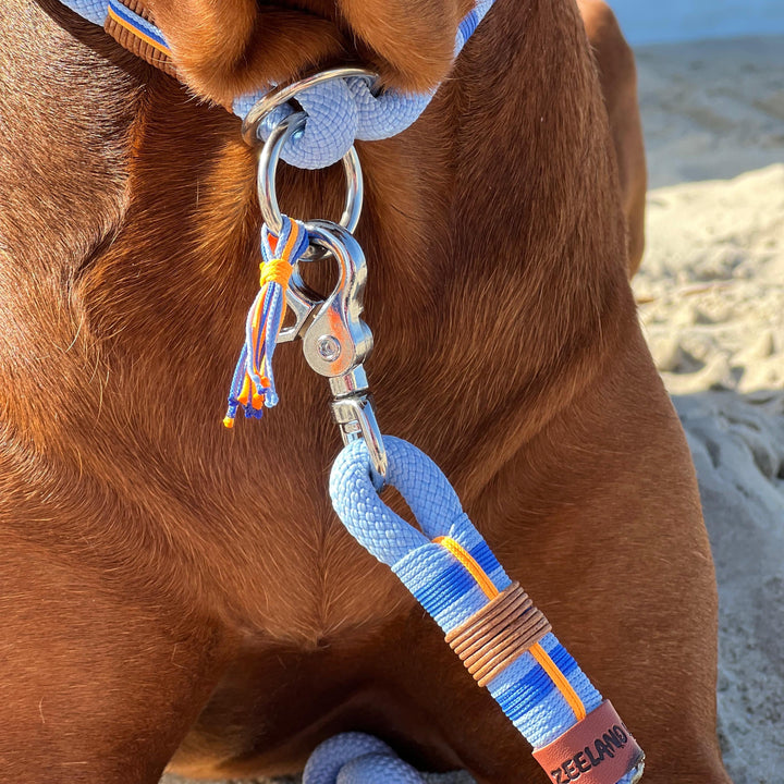 ZEELAND DOG Sailor