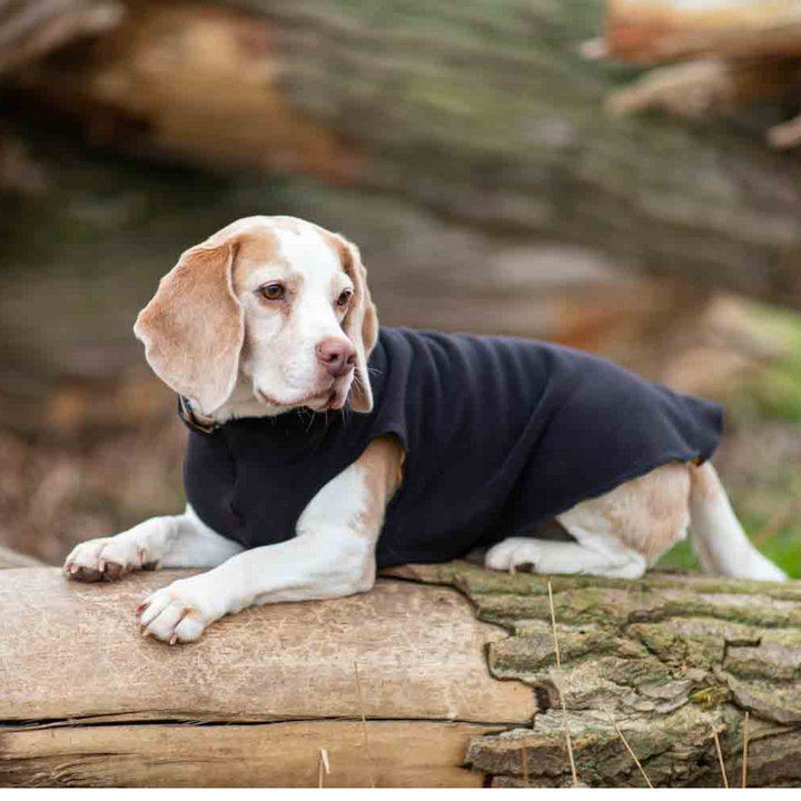 Kuschelweicher Fleece-Pullover Schwarz/Karo Jetzt erhältlich bei  Dogsmopolitan