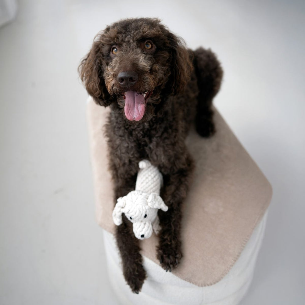 Hundespielzeug Richie Retriever