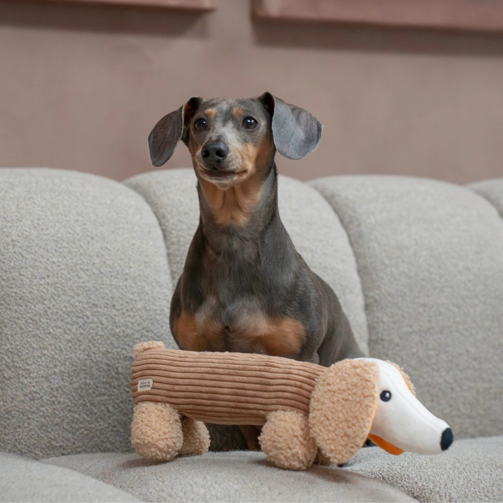 Hundespielzeug Dackel Micky