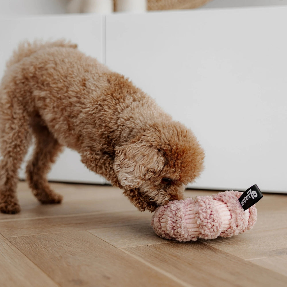 Hundespielzeug Daisy