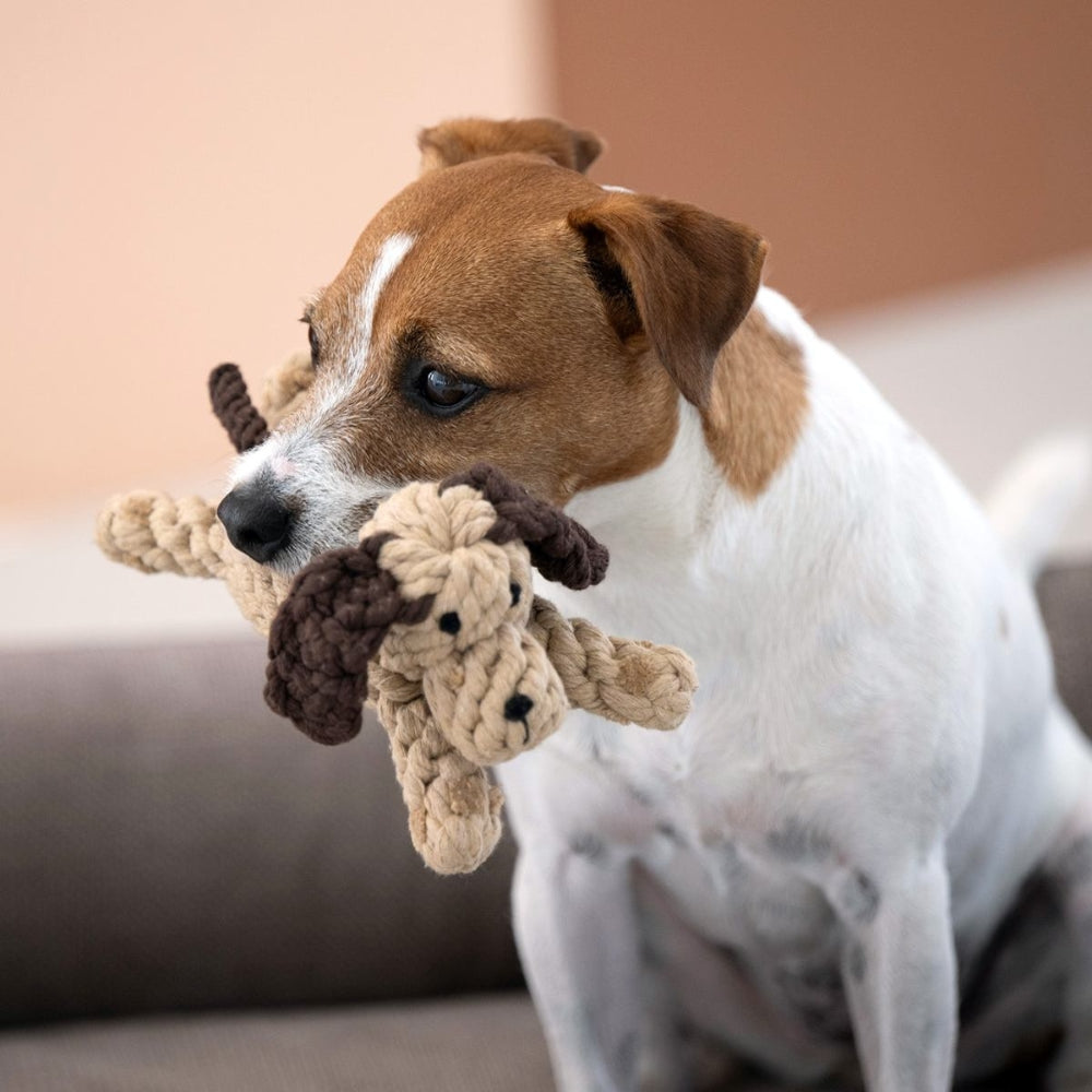 Hundespielzeug Doggy Dog Junior