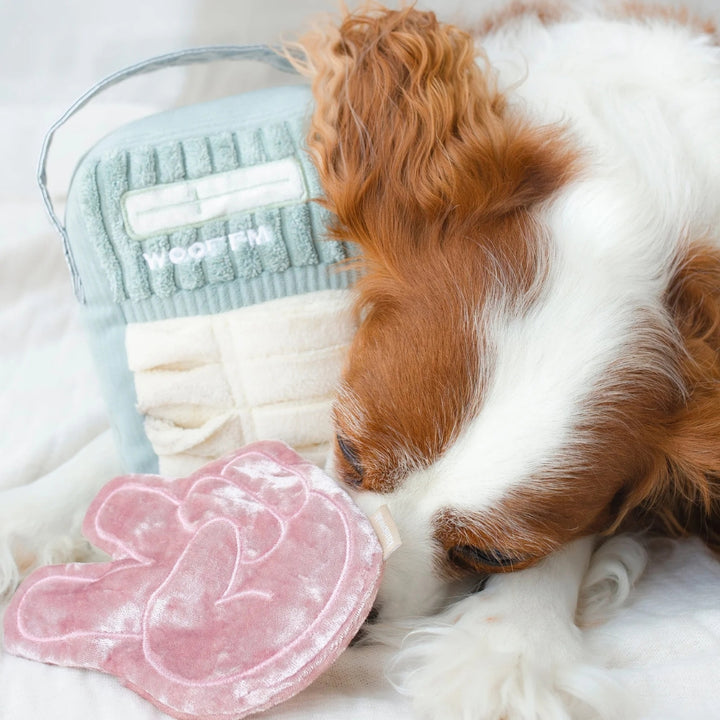 Hundespielzeug FM-Radio