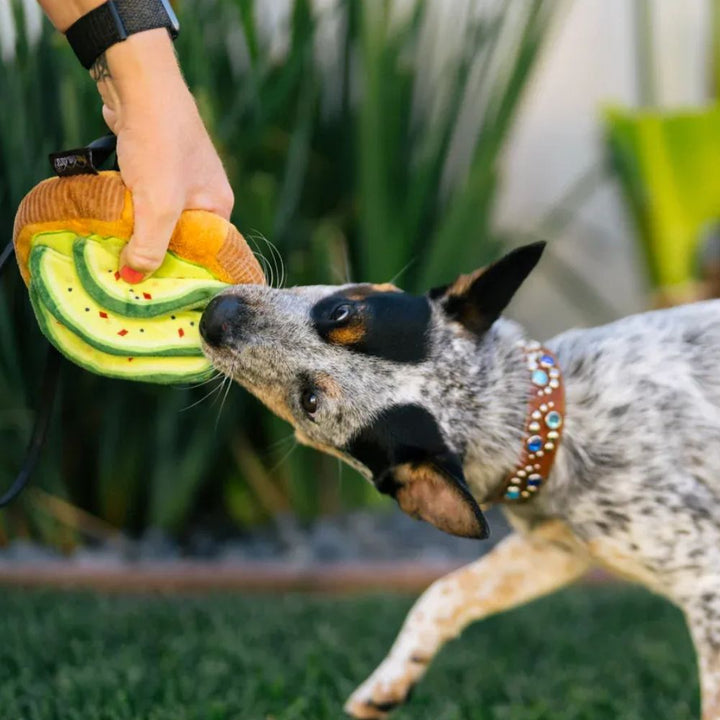 Hundespielzeug Avocado-Toast