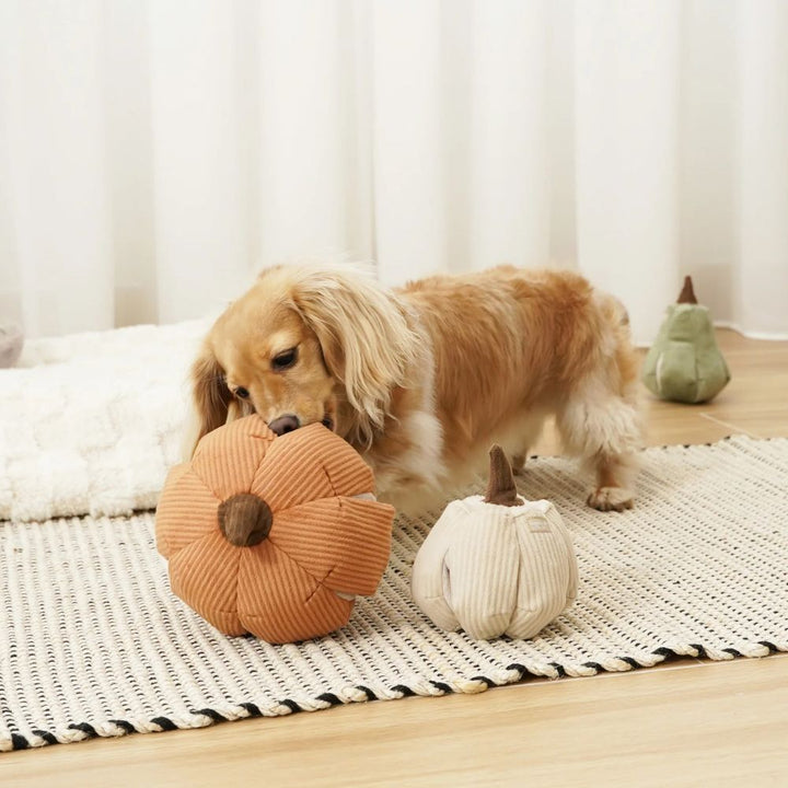 Hundespielzeug Schnüffel-Cinderella-Kürbis