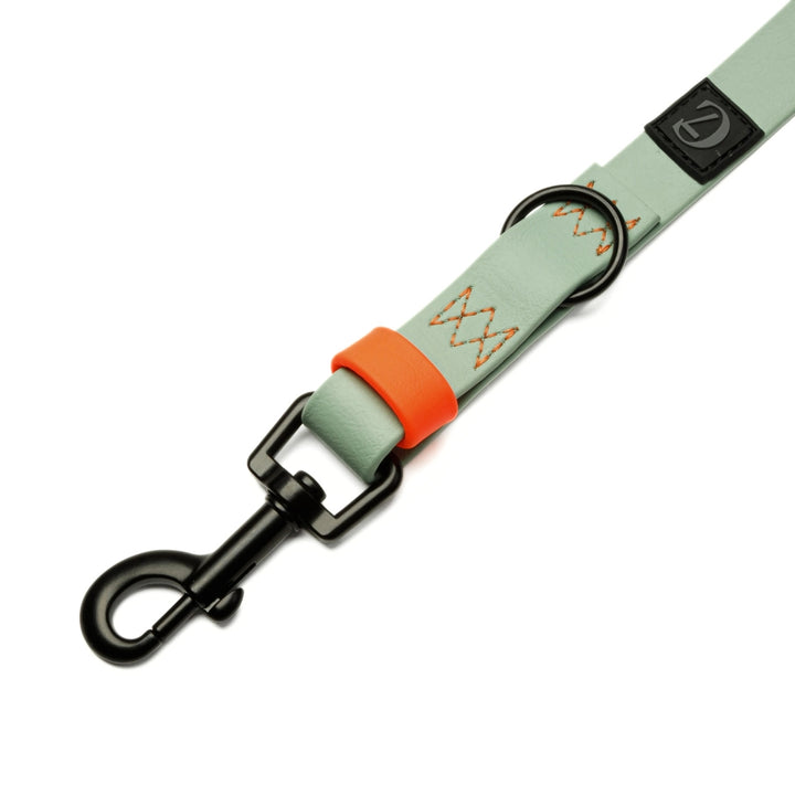 Hundeleine BioThane Ipanema - Mint-Neon Orange