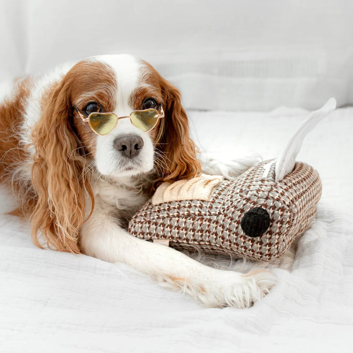 Hundespielzeug Schreibmaschine