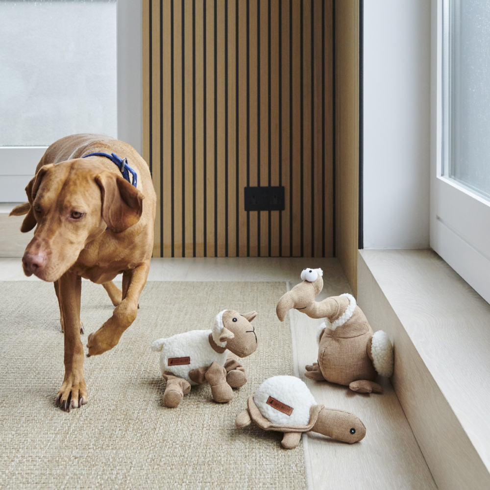 Horatio die Schildkröte Jetzt erhältlich bei  Dogsmopolitan