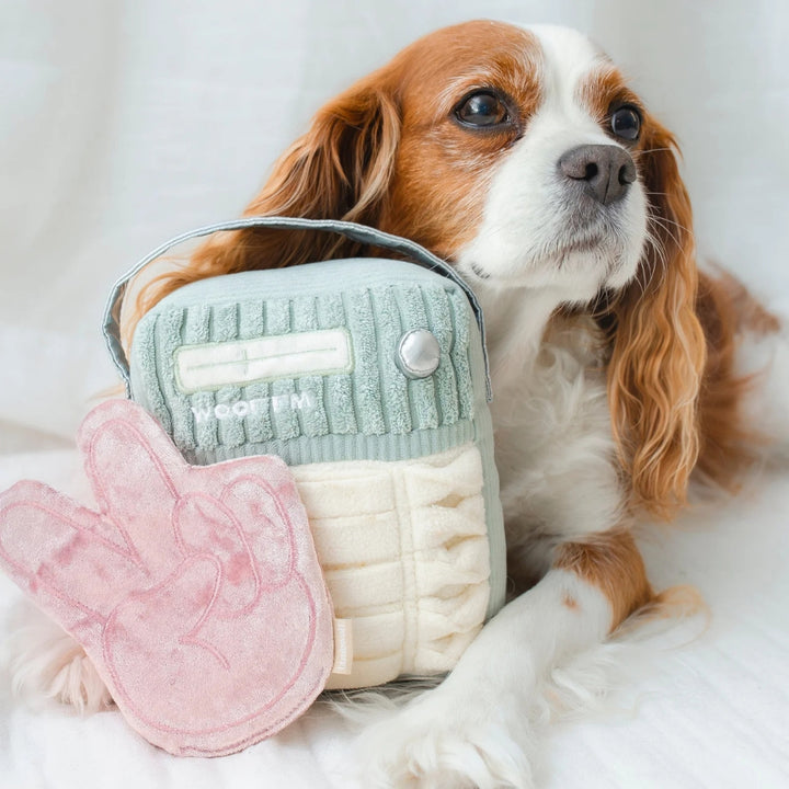 Hundespielzeug FM-Radio