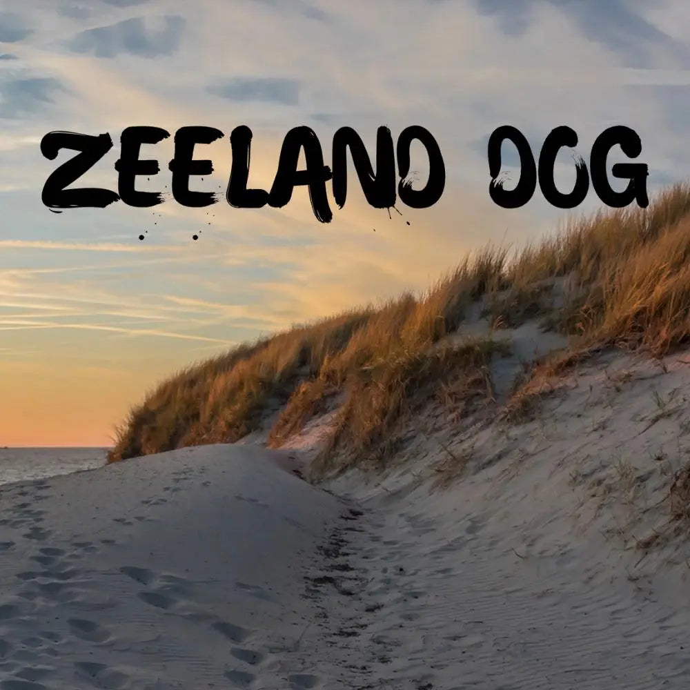 ZEELAND DOG Nieuw Hamstede Jetzt erhältlich bei  Dogsmopolitan