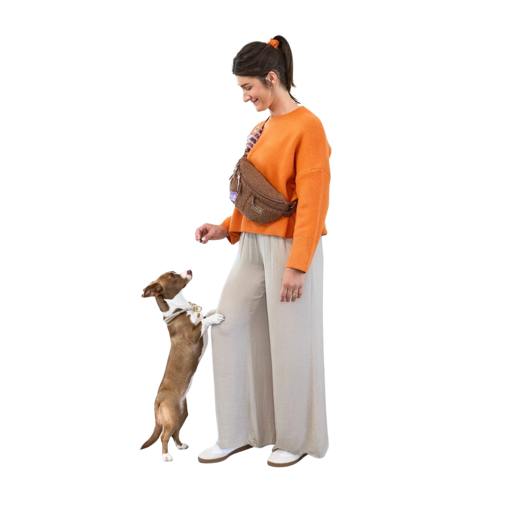 Treat bag / dog bag Emma teddy fleece